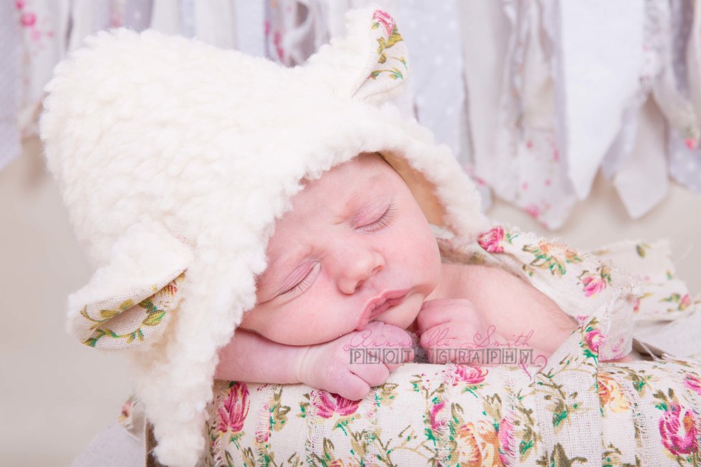 New-born’s are so&nbsp;engaging