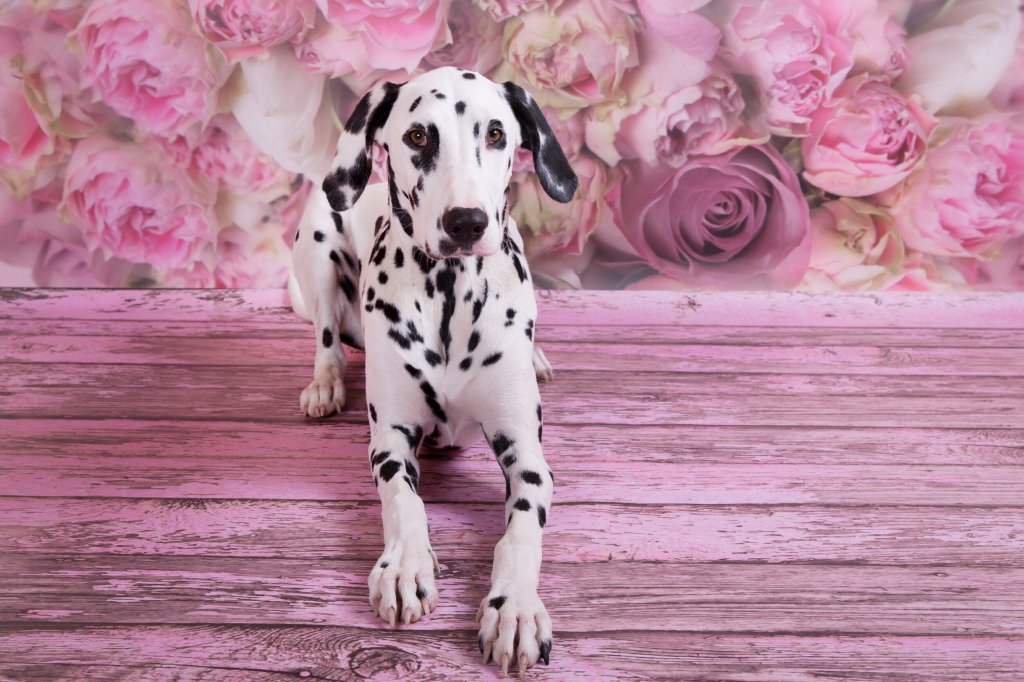 The light at the end of the&nbsp;tunnel