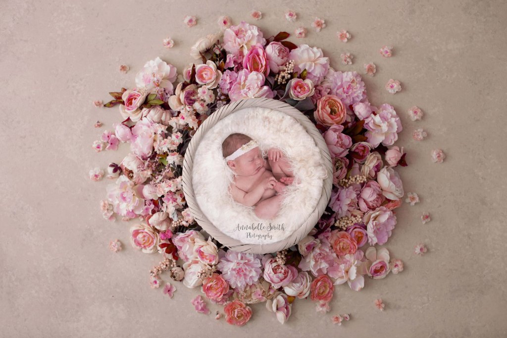 A walk through your newborn session: